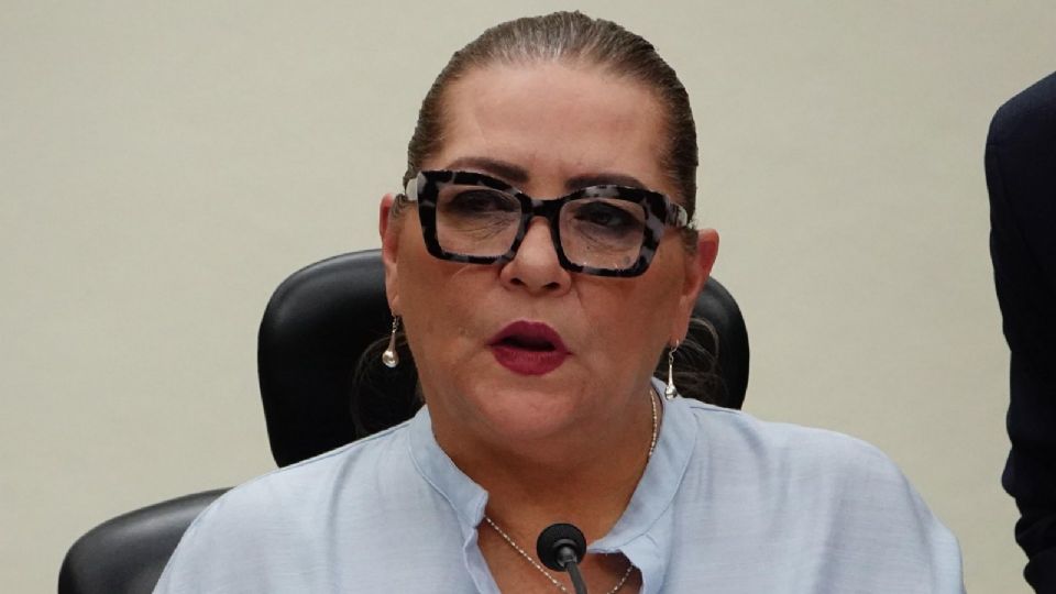 Garantiza INE igualdad de condiciones para todos los partidos en elecciones: Guadalupe Taddei