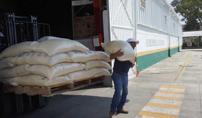 Avanza 93% el proceso de pagos a productores de trigo con precios de garantía