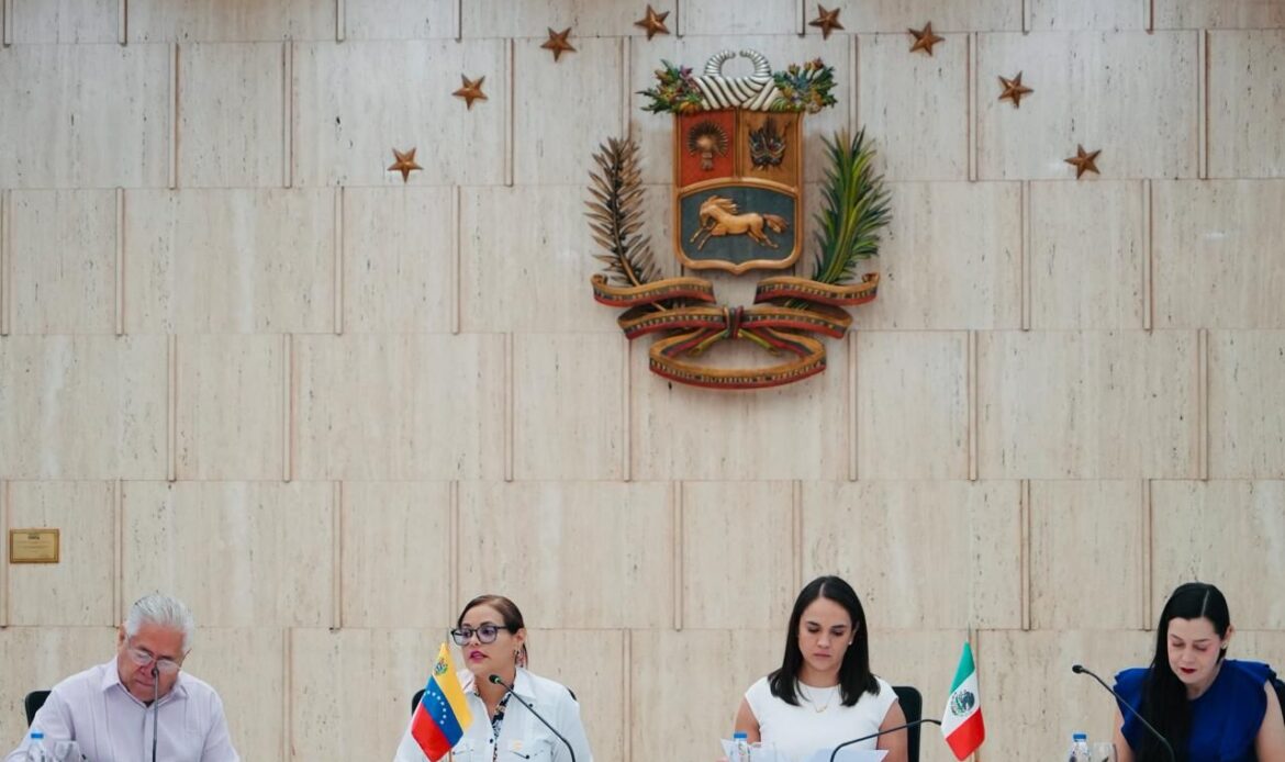 México y Venezuela impulsan buenas prácticas en cooperación internacional