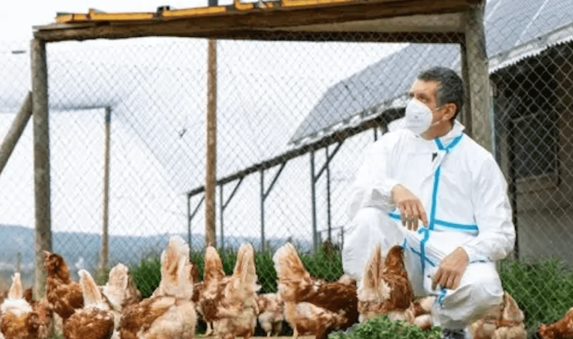 La OMS considera “preocupante” el caso de gripe aviar en Estados Unidos