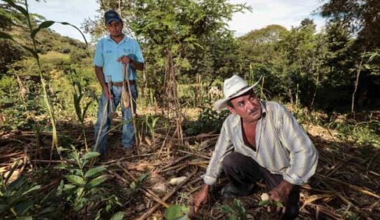 Convoca Agricultura a participar en el 3er Congreso Interamericano de Agua, Suelo y Agrobiodiversidad 2024
