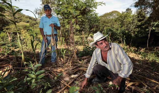 Convoca Agricultura a participar en el 3er Congreso Interamericano de Agua, Suelo y Agrobiodiversidad 2024