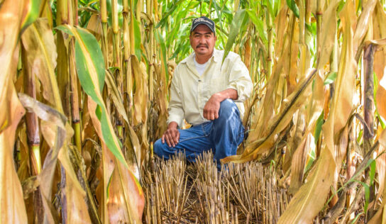 Difunde publicación internacional británica acciones de México en pro de una agricultura sustentable