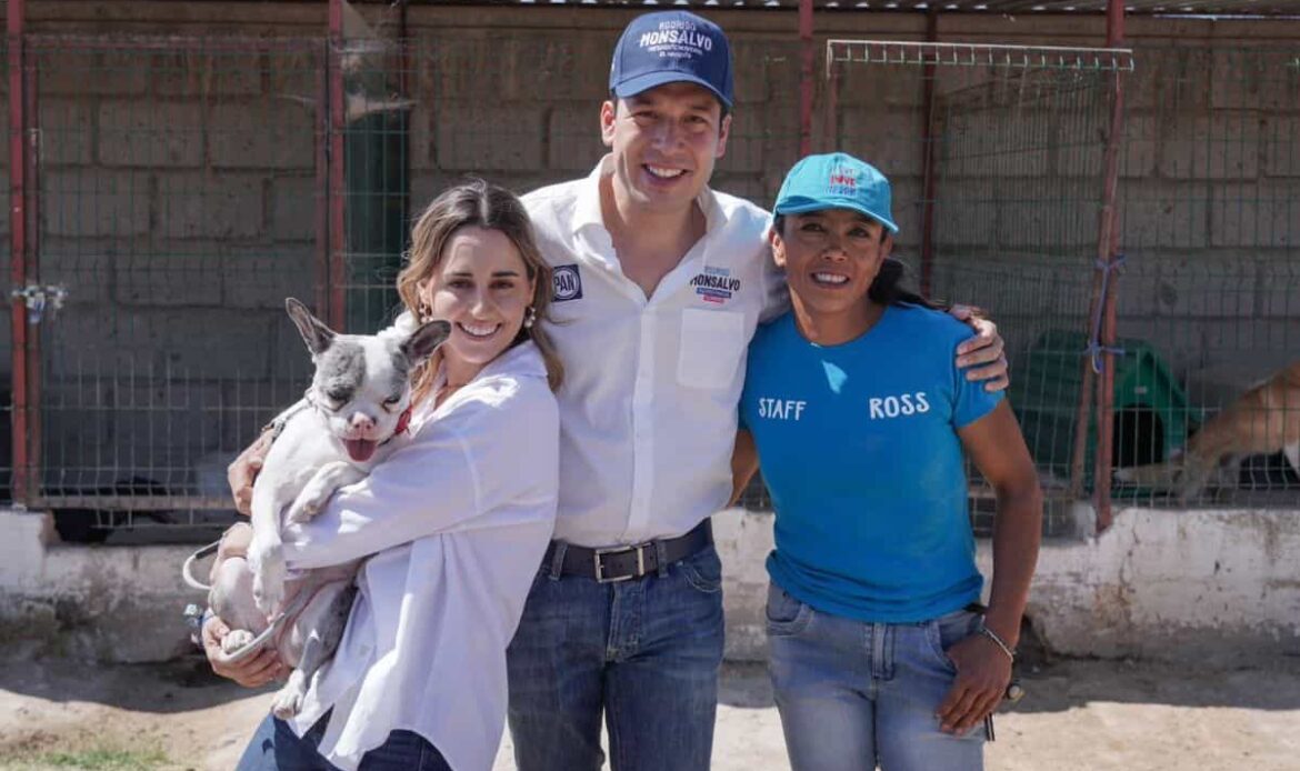 Rodrigo Monsalvo promete crear instituto de bienestar animal