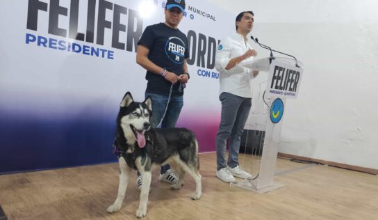Propone Felifer secretaría para el cuidado y protección animal en Querétaro