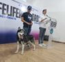 Propone Felifer secretaría para el cuidado y protección animal en Querétaro