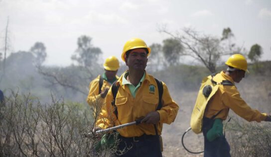 Emite la SEDEA recomendaciones para prevenir incendios forestales