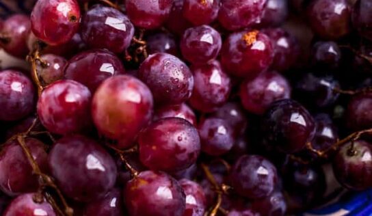 Aumentan exportaciones de uva mexicana en cinco años